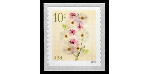 #5906 10¢ Poppies & Coneflowers, Coil