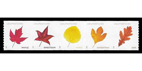 #5975a Leaves, Strip of Five Coil Stamps (Postcard)