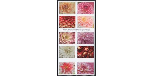 #6001a Dahlias, Booklet Block of Ten