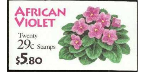 #BK177 African Violet