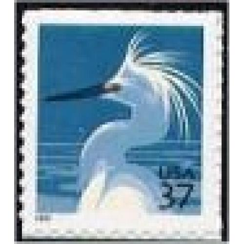 2003-05 Snowy Egret