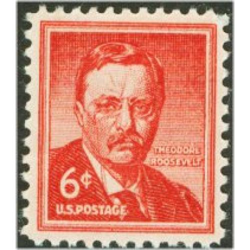 #1039 Teddy Roosevelt, Wet Printing
