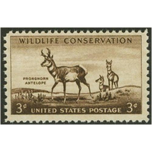 #1078 Wildlife - Antelope