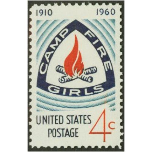 #1167 Camp Fire Girls