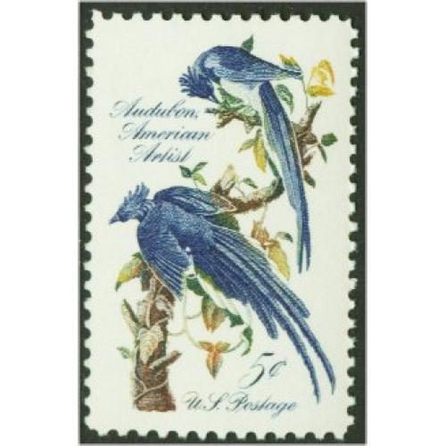 #1241 Audubon Jays