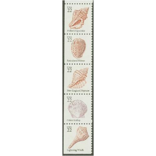 #2117-21 Seashells, Five Singles