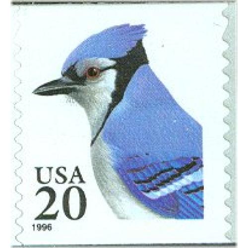 #3053 Blue Jay, Coil