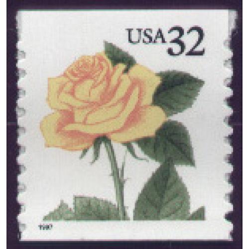 #3054 Yellow Rose, Coil