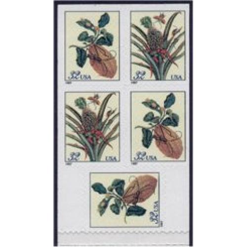 #3128b Moth & Cockroaches, Booklet Pane of Five