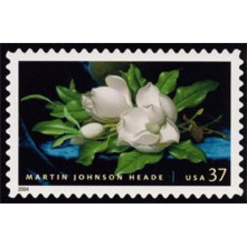 #3872 Magnolia by Heade, Booklet Single, American Treasures Series