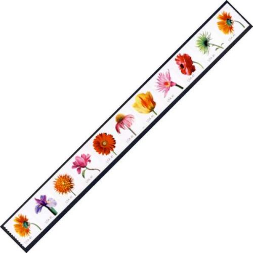 #4175av Beautiful Blooms, PNC Strip of 11 Stamps (2 # 4175)