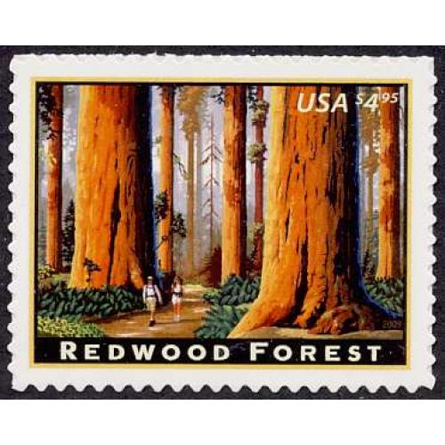 #4378 California Redwood Forest, Priority Mail