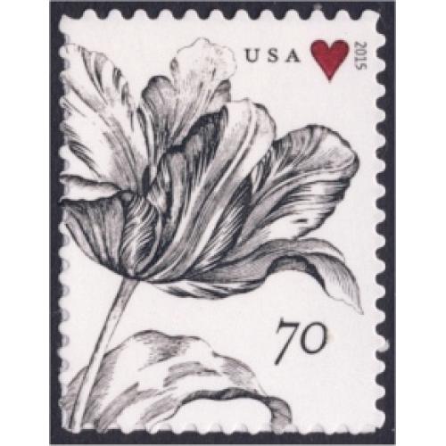 #4960 Vintage Tulip
