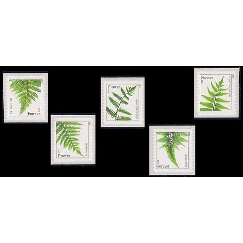 #4973a-4977a Ferns Forever 2015, Set of Five Singles