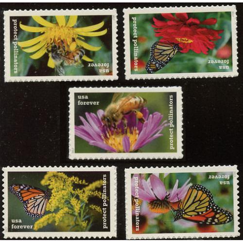 #5228-32 Protect Pollinators, Set of Five Singles