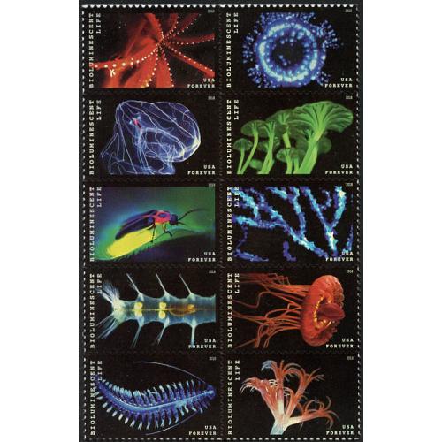 #5273a Bioluminescent Life, Block of Ten Stamps