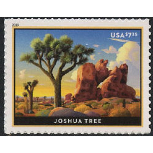 #5347 Joshua Tree, Prioity Mail