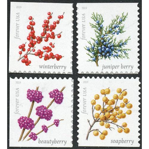#5415-18 Winter Berries, Set of Four Singles