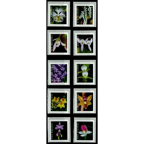#5435-44  Wild Orchids, Ten Single Coil Stamps