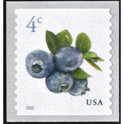 #5653 Blueberries, Coil Stamp