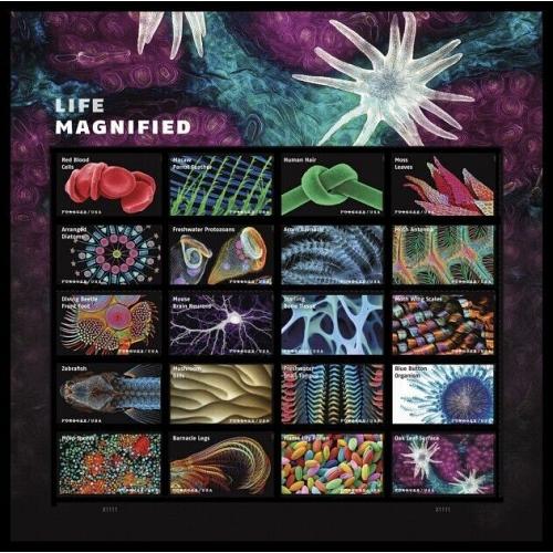 #5802 Life Magnified, Souvenir Sheet of Twenty Stamps