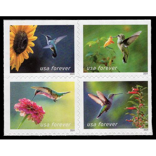 #5848a Garden Delights, Block of Four