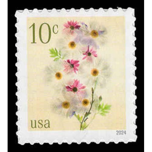 #5901 Poppies & Coneflowers - Sheet Stamp