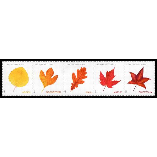 #5970a Leaves, Strip of Five Leaves From Sheet (Postcard)