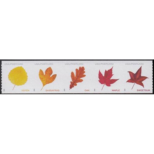 #5971-75 Leaves, Set of Five Coil Single (56¢) (Postcard)