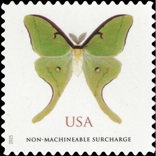 #6031 Luna Moth, Surcharge