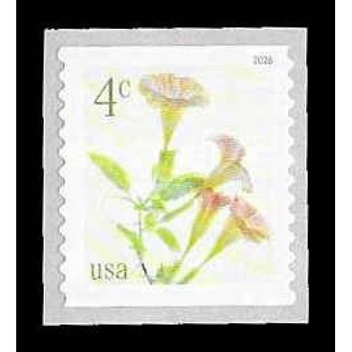 #6045 Angel Trumpets, Coil