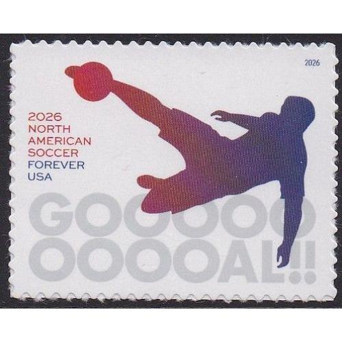 #6105 North American Soccer