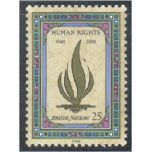 #544 Declaration of Human Rights